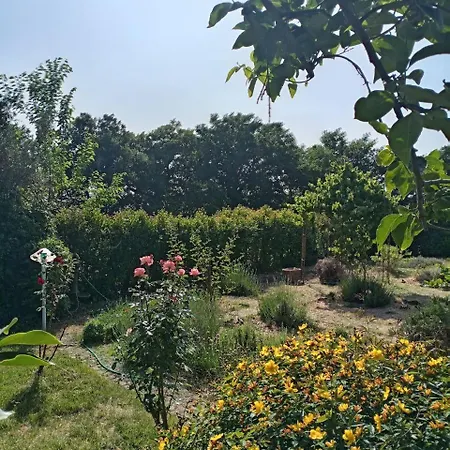 Villa Botanica *