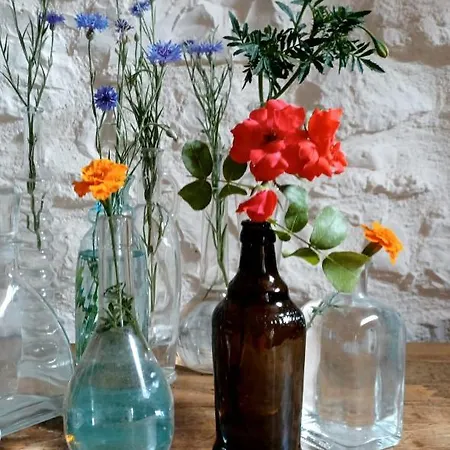 Villa Botanica Perugia