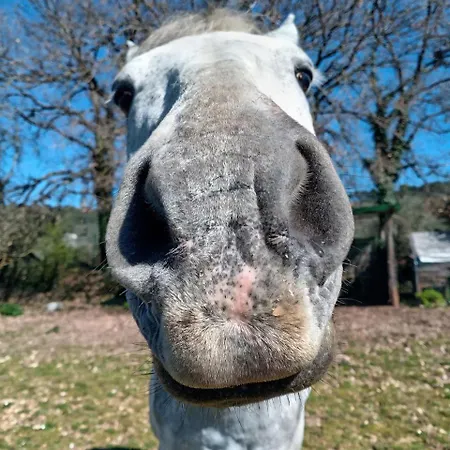 Botanica Villa Perugia