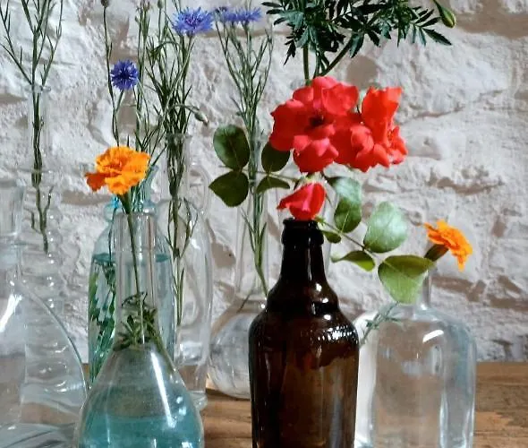 Villa Botanica Perugia