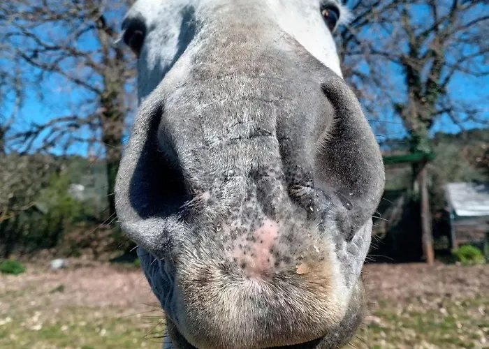 Botanica Villa Perugia